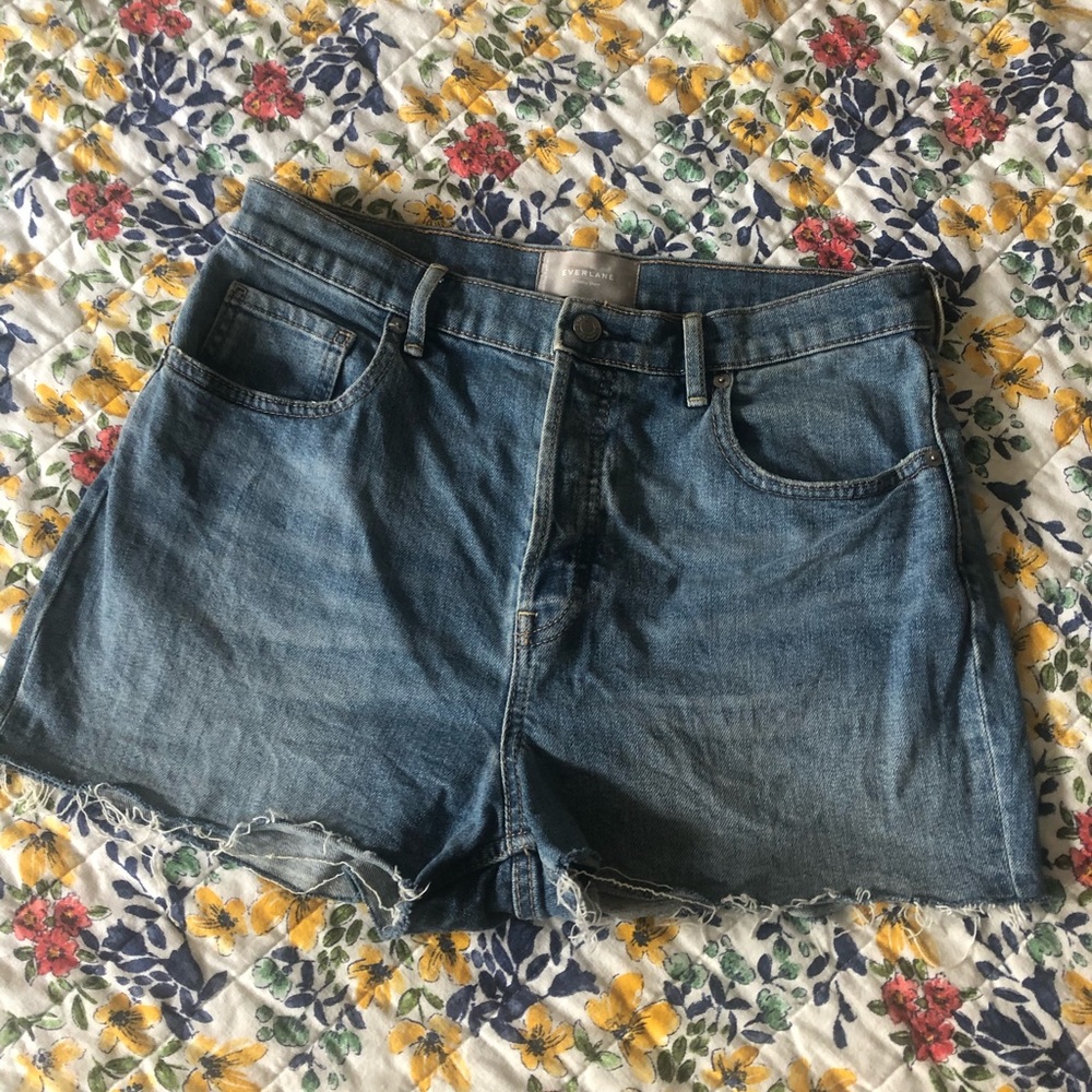 Everlane Cheeky Denim Shorts Sz 30